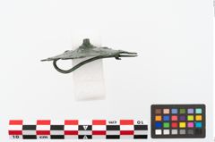 Foto von Bronzetutulusscheibenfibel (NHMW-PRAE-026529)